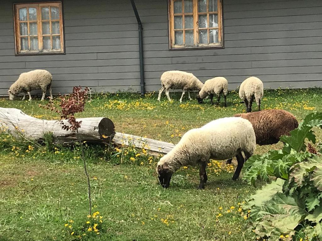 Parque La Pajarera Hotel Puerto Varas Luaran gambar